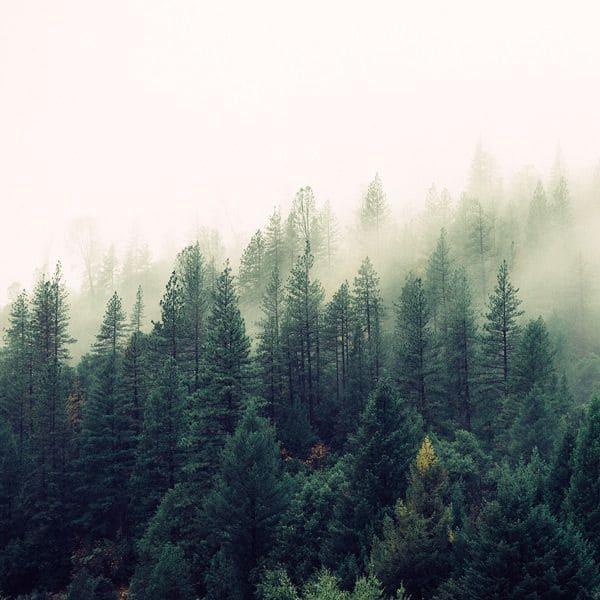 Qui explicabo dolores sint sed fuga. Illum soluta inventore culpa qui cum explicabo accusamus ullam.